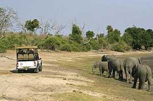 Chobe Game Safari Day Tour (Botswana)